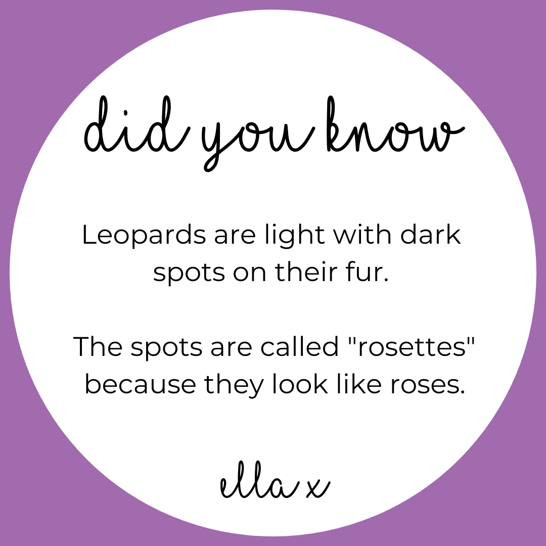 Limited Edition: Leopard Covered Buttons Hair clips Ella Made