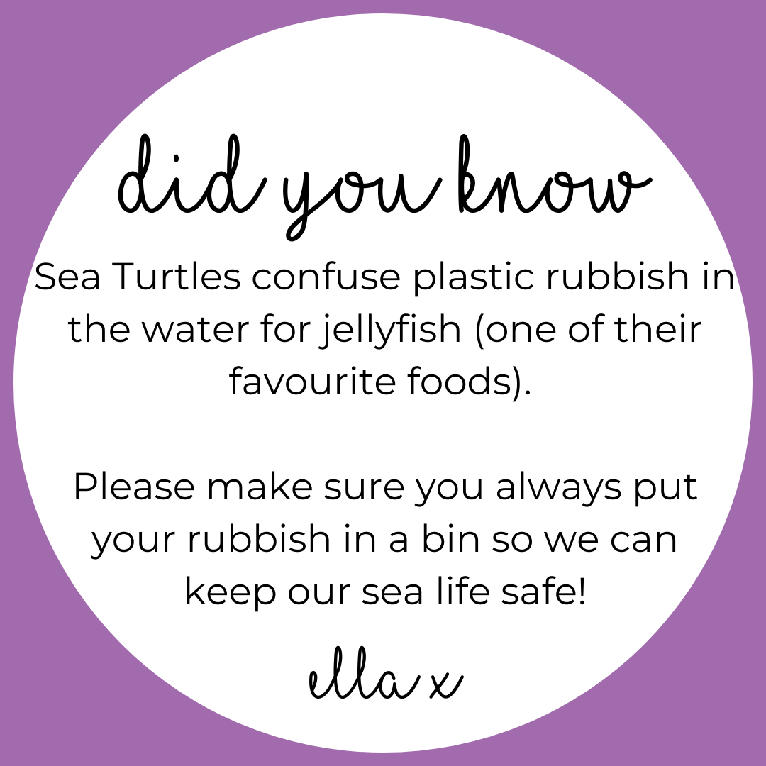 Limited Edition: Sea Turtle Covered Buttons Hair clips Ella Made