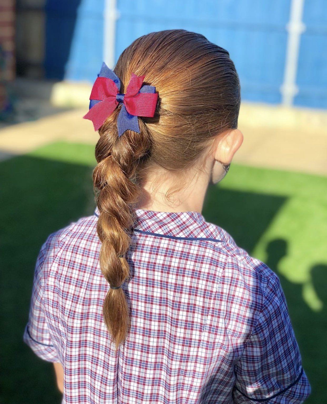 Woodland Grove Primary School Pack - 6pc