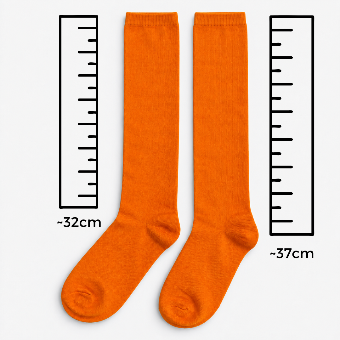 School House Socks